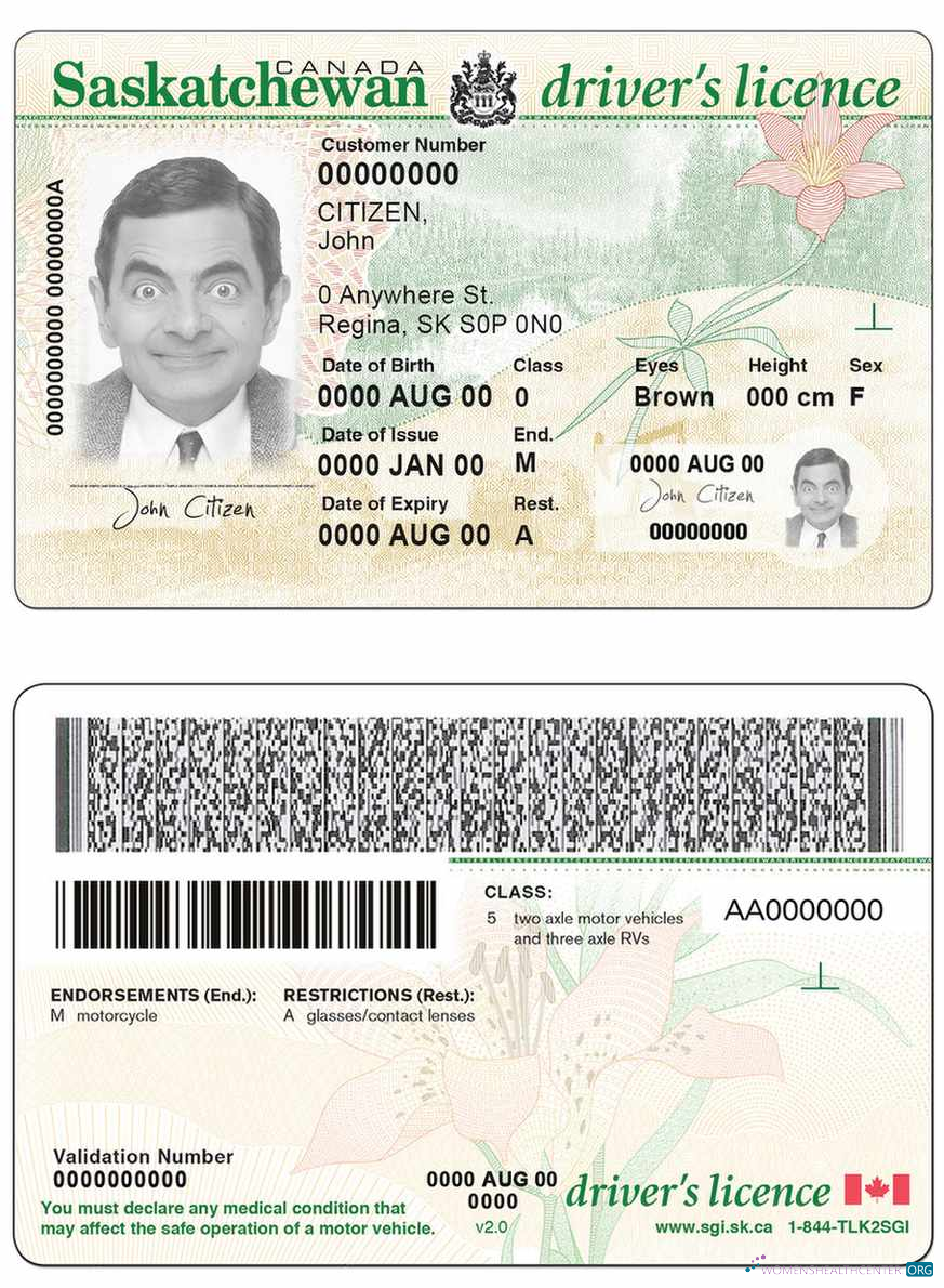 download Canada province Saskatchewan driving license